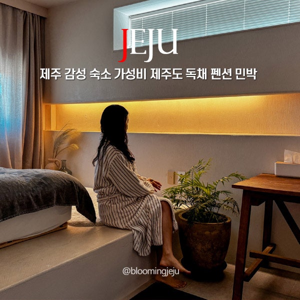 Affordable and Emotional Jeju Private Pension & Guesthouse