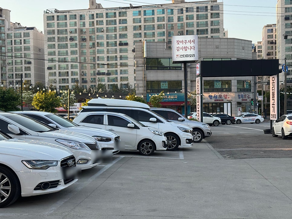 뺑덕산더미오리 사진 6