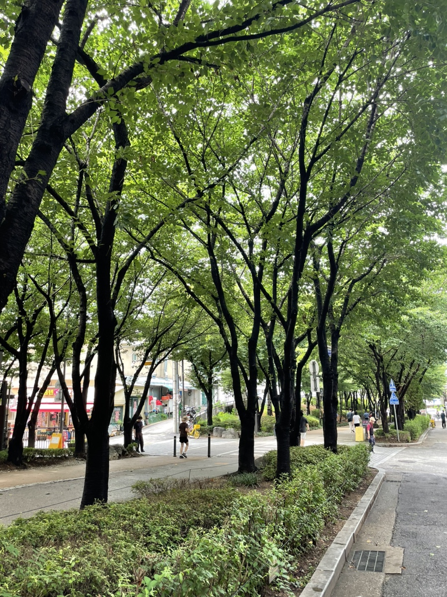 비엔로 사진 1