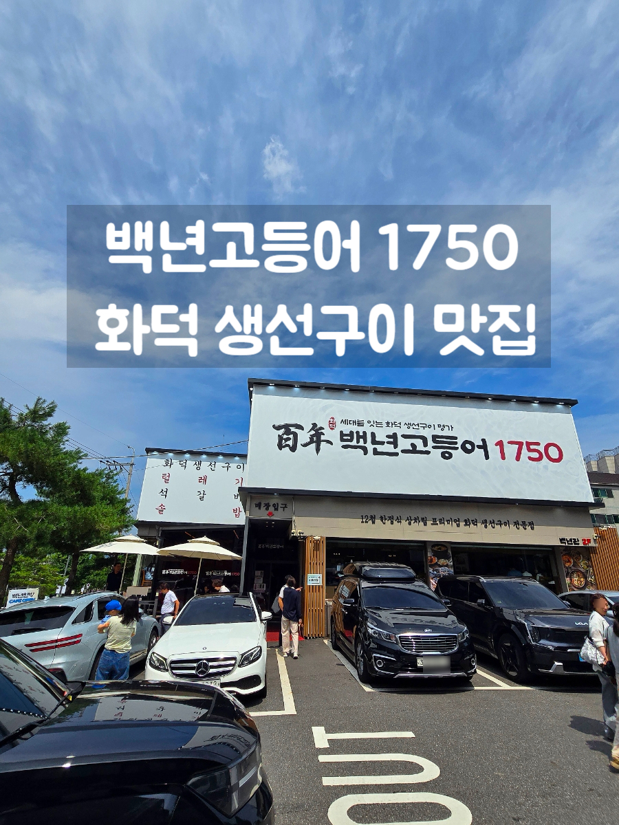 백년고등어1750 사진 1