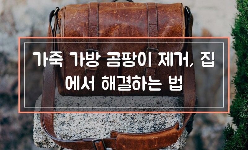 가죽 가방 곰팡이 제거, 집에서 해결하는 법