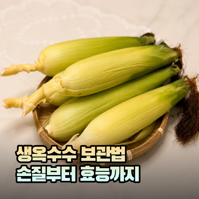 생옥수수 보관법 손질부터 효능까지 한번에
