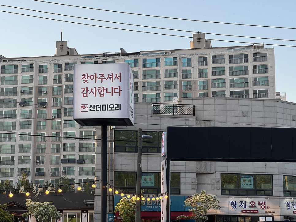 뺑덕산더미오리 사진 5