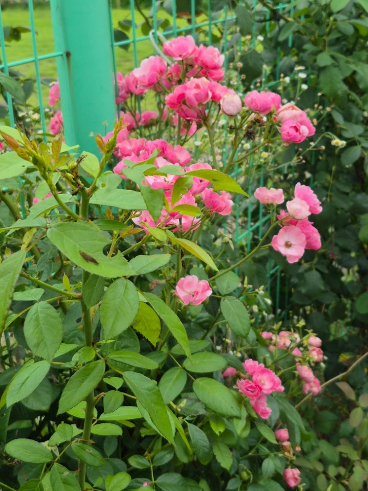 사계 사진 3