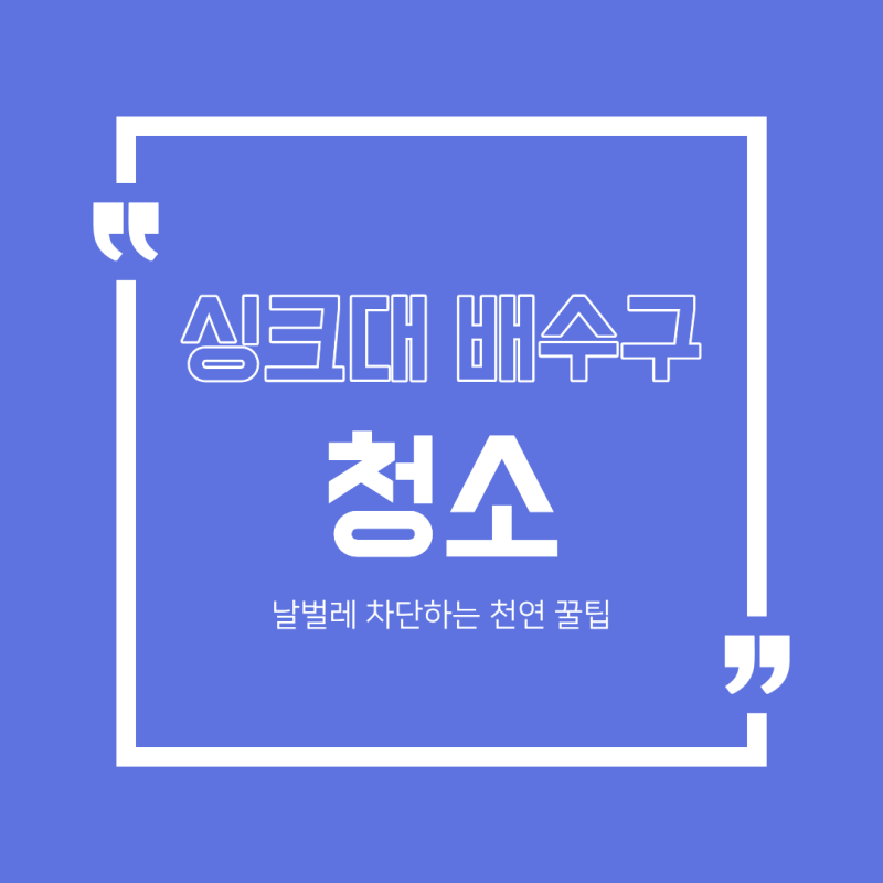 싱크대 배수구 청소법! 구취 잡고 날벌레 퇴치하는 베이킹소다 설거지 꿀팁