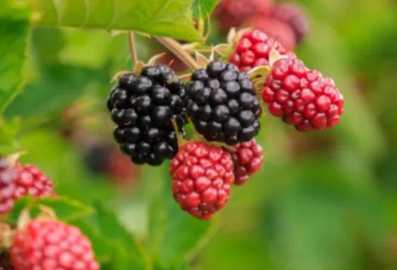 수복회관 사진 6