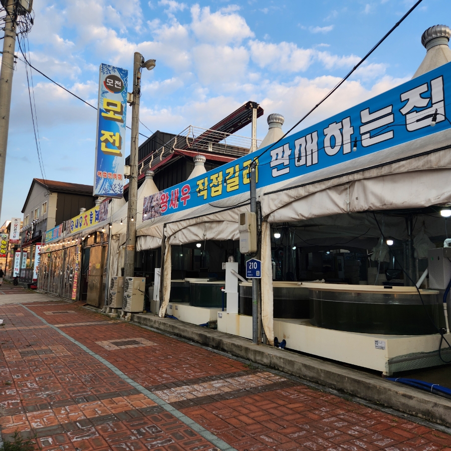 모전 사진 1