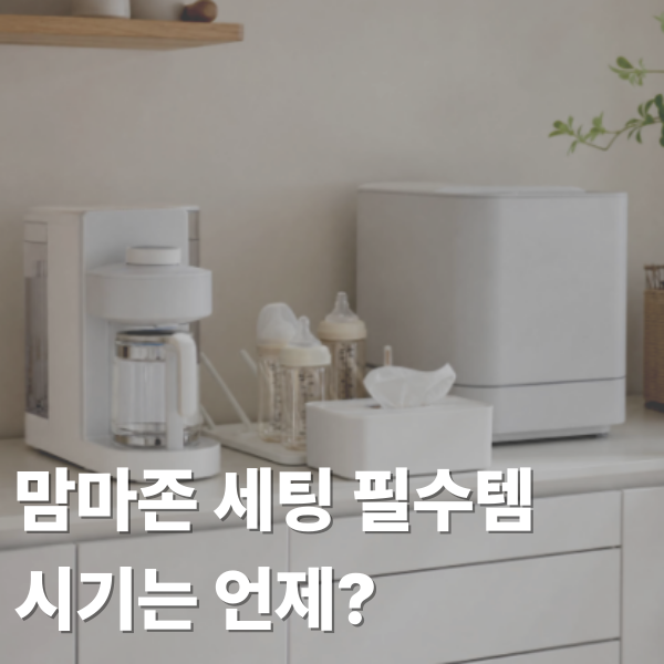 맘마존 세팅 필수템 추천 및 방법, 시기 언제, 위치, 순서
