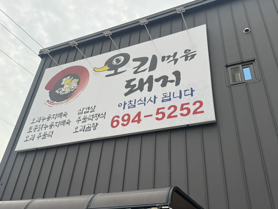 오리먹음돼지 사진 2