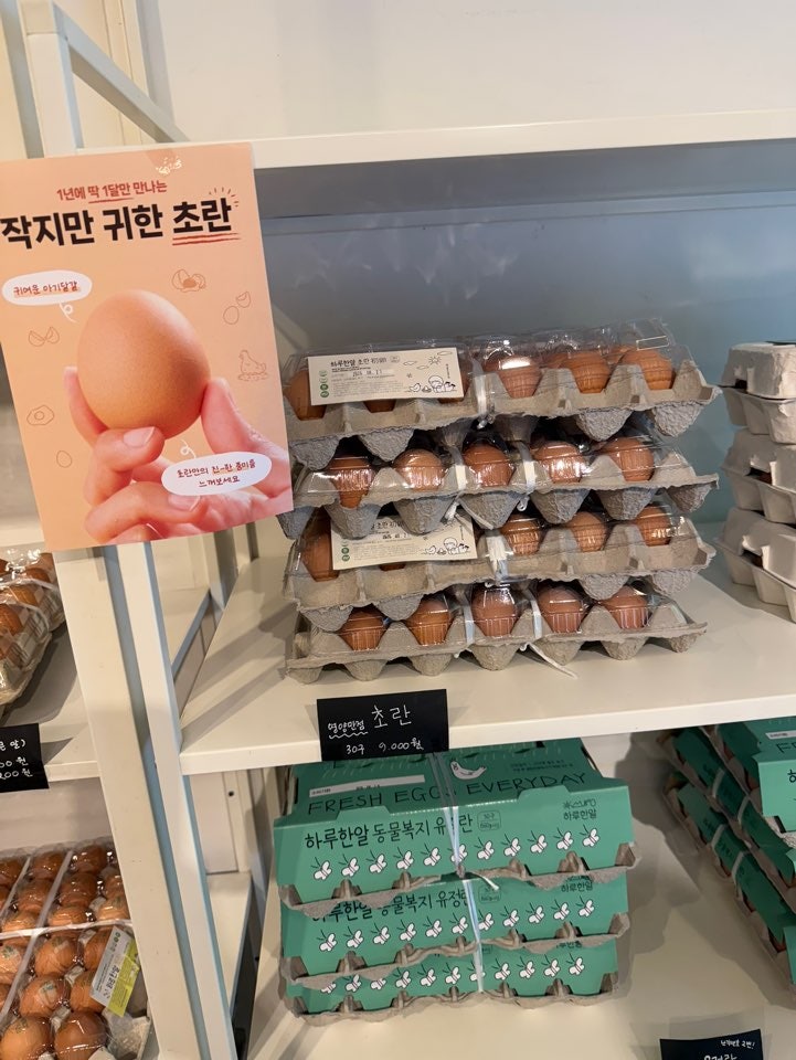 하루한알 사진 5