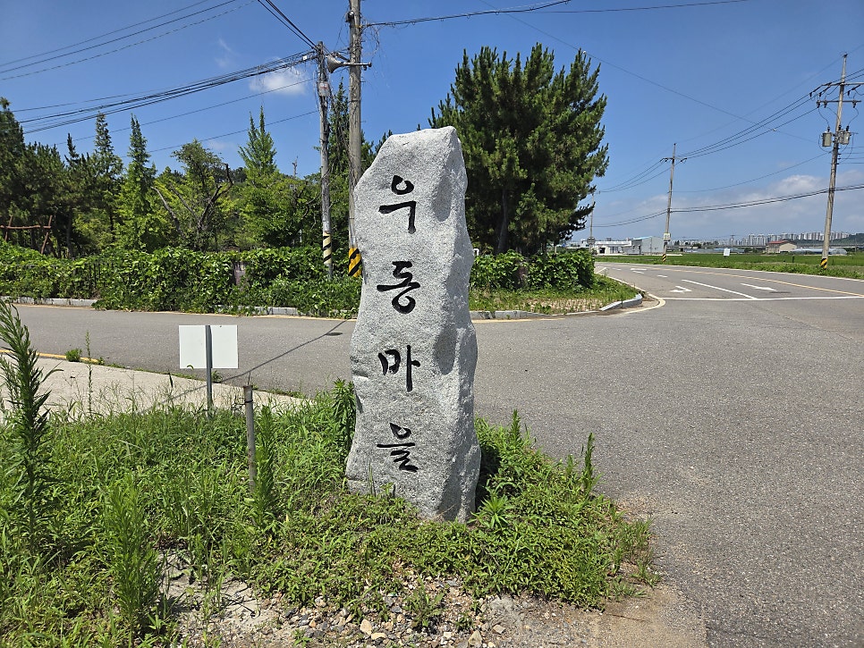 청향 사진 2