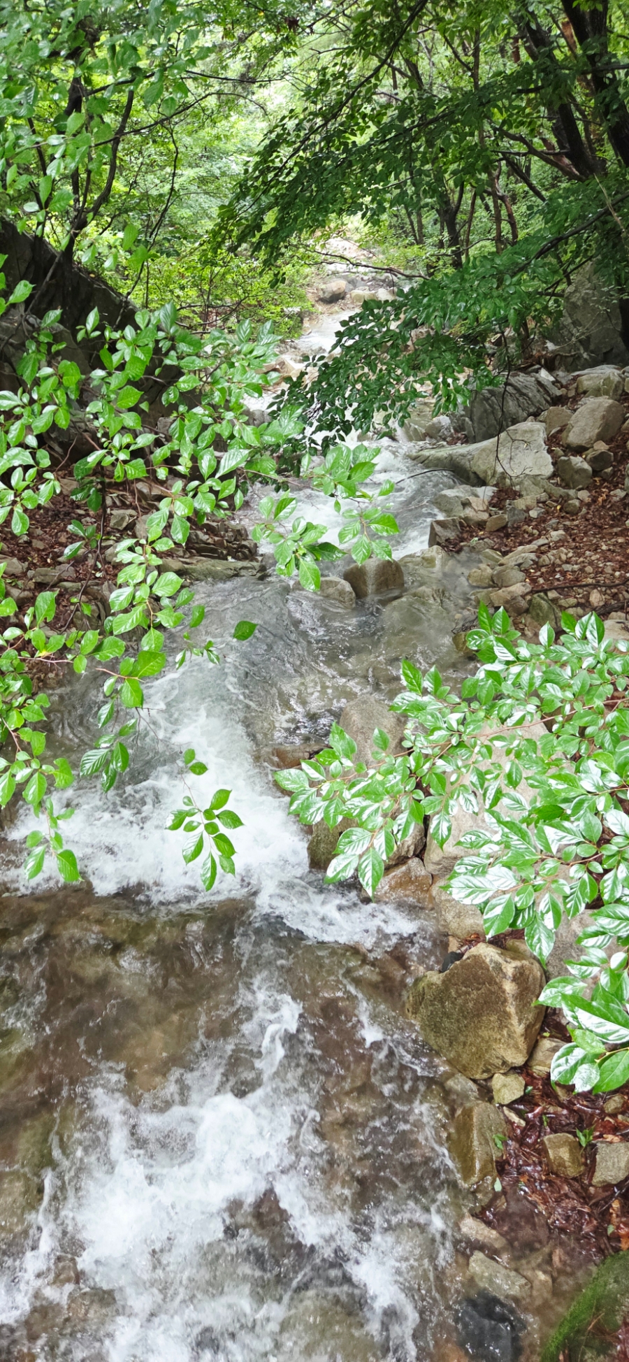 가야산 사진 7