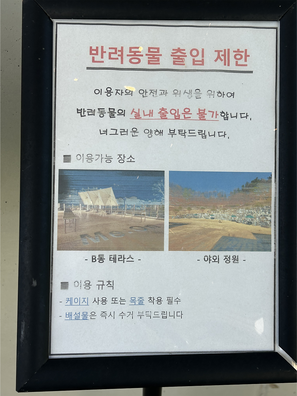 메온 사진 4