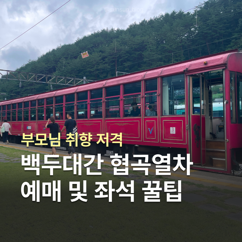 국내 기차여행 부모님이 좋아한 백두대간협곡열차 예매 및 좌석 꿀팁
