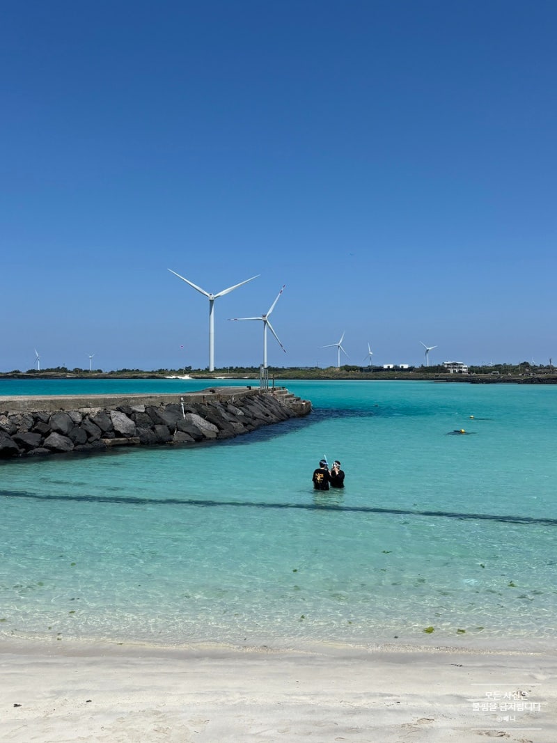 5월 제주도 스노쿨링 포인트 세기알해변, 김녕해수욕장 니모스토리 후기