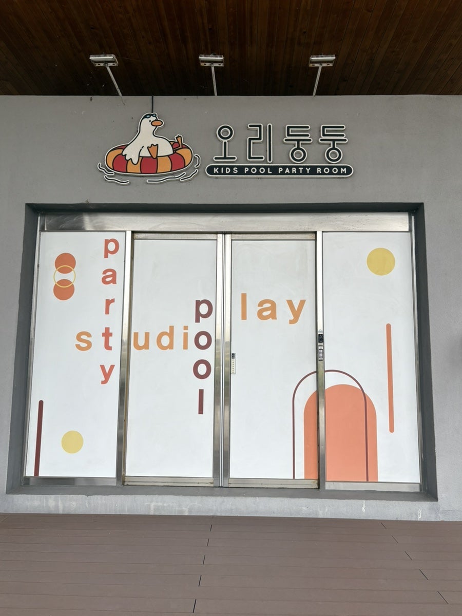 오리둥둥 사진 2