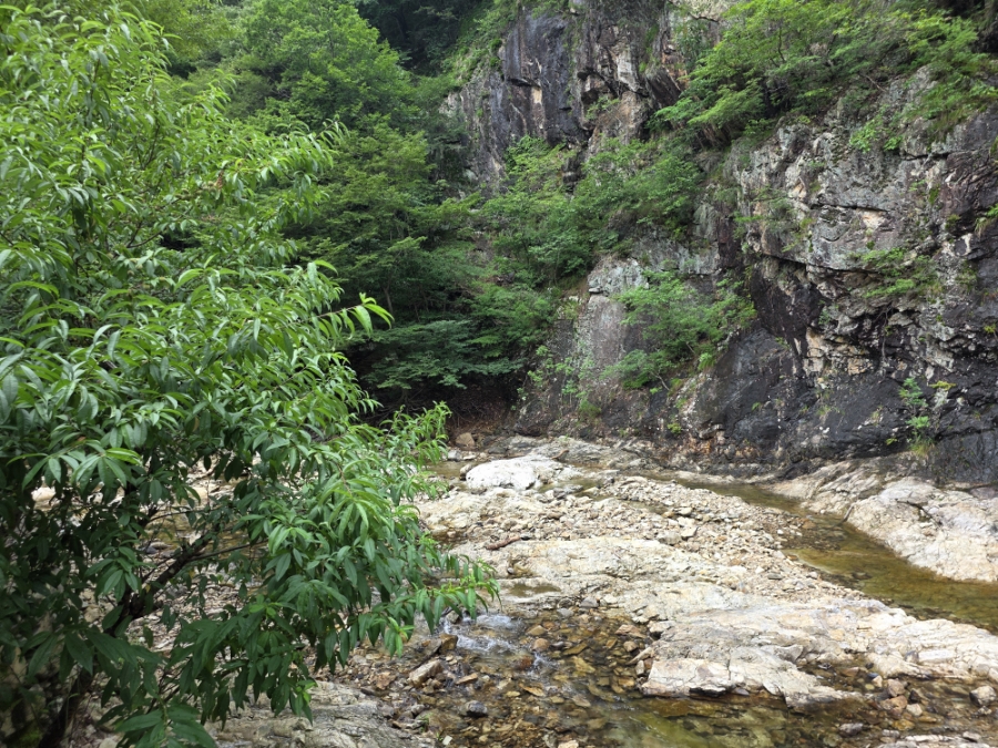 황토펜션 사진 3