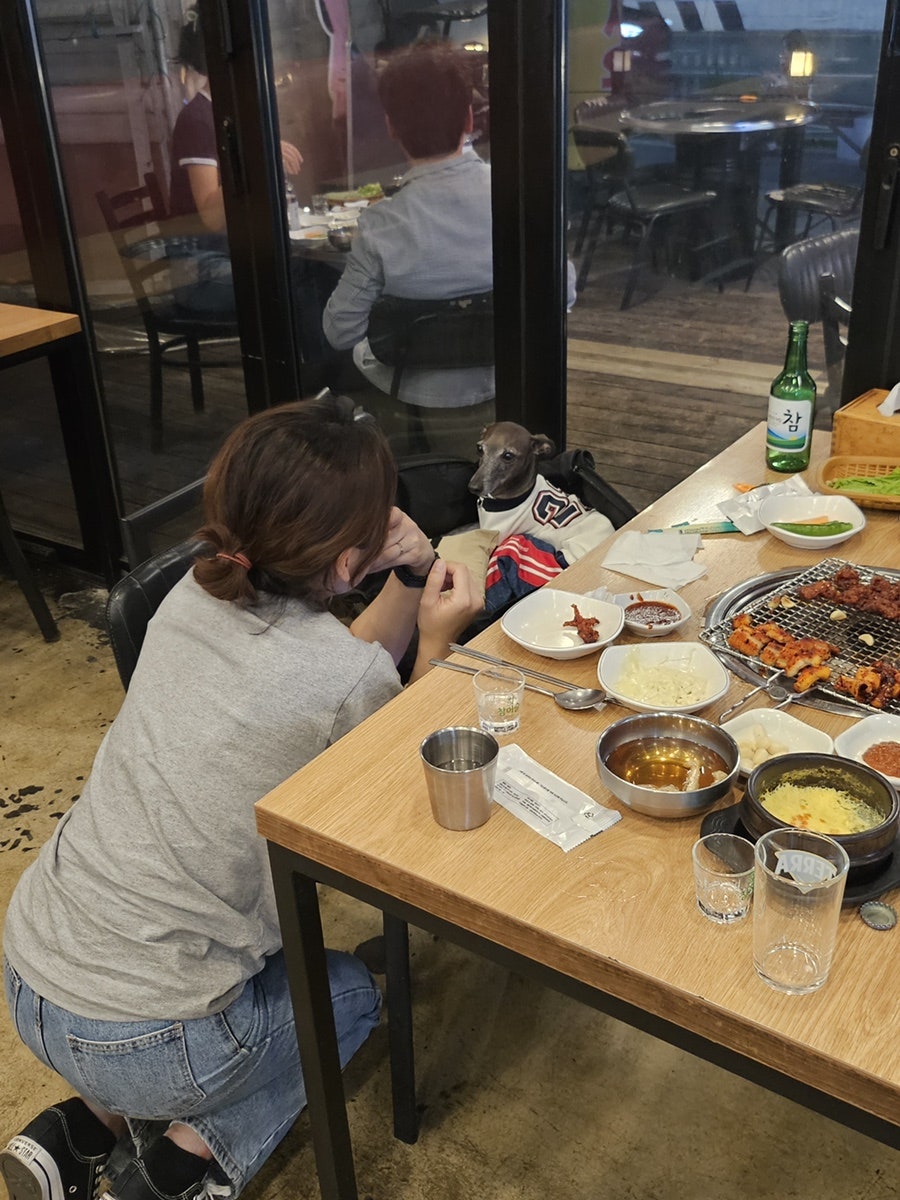 오늘도산호숯불아나고 사진 1
