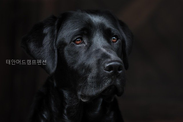 머드캠프펜션 사진 4