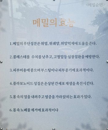 국수라 사진 5