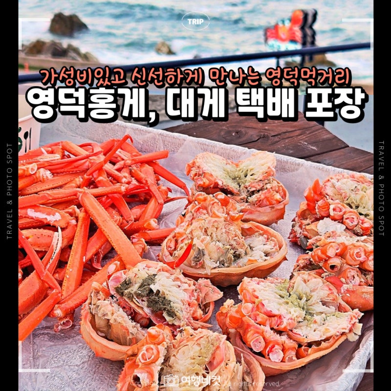 영덕홍게 영덕대게 택배 포장 영덕먹거리 가성비 있게 강구항 바른수산