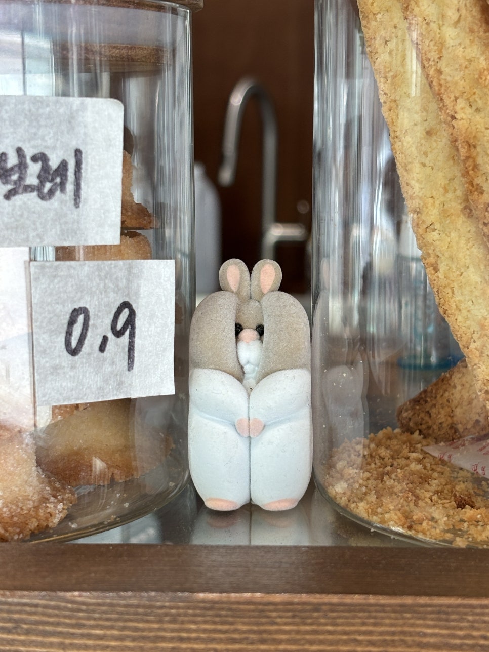 다락로스터스 사진 2