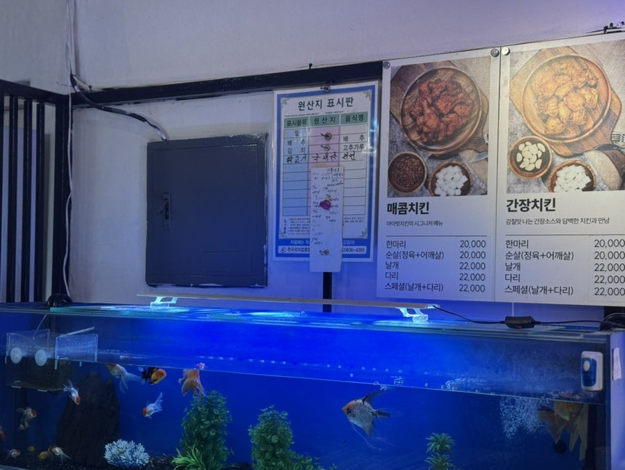 아이벗치킨 증평점 사진 5