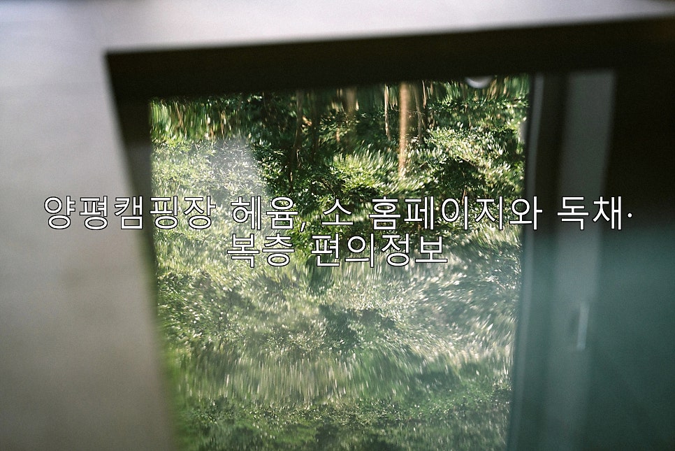 헤윰,소 사진 1