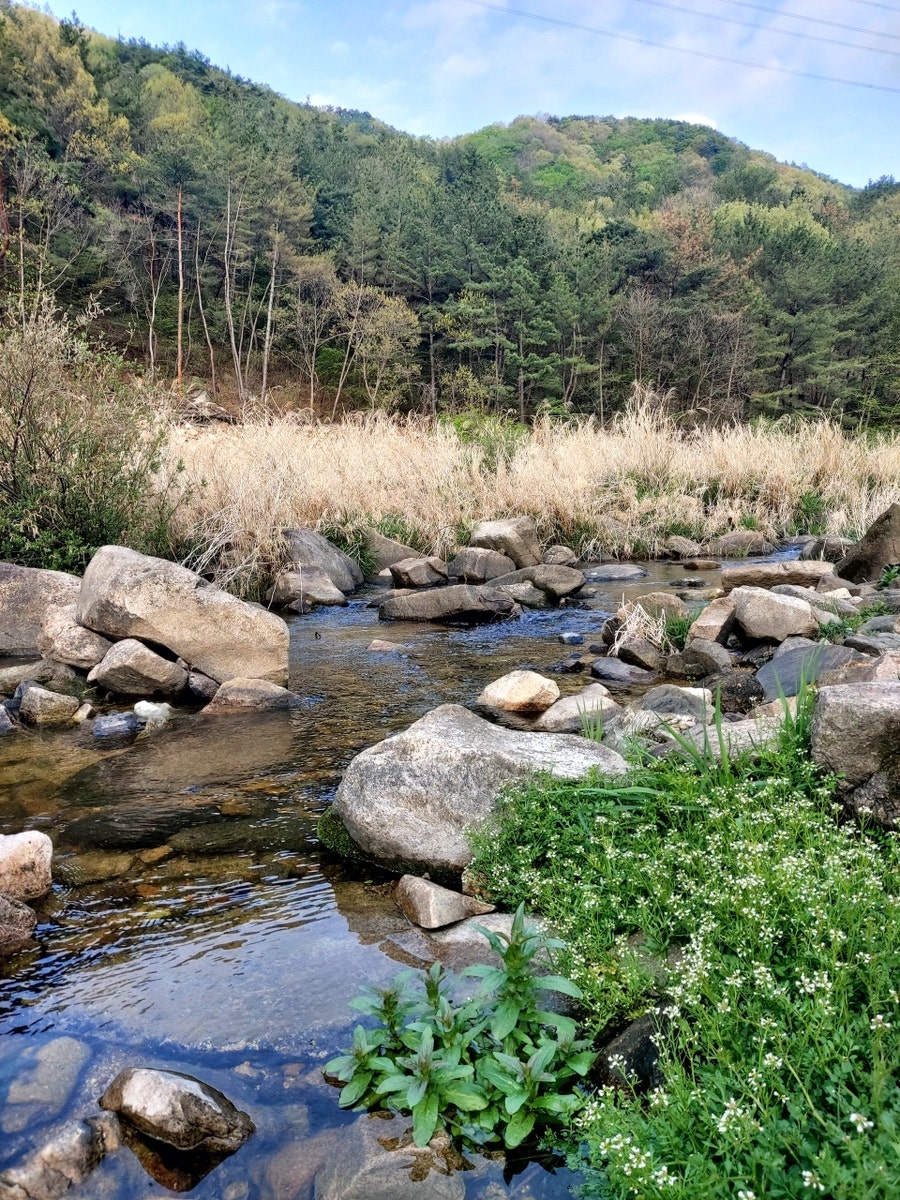 옥천민박 사진 1