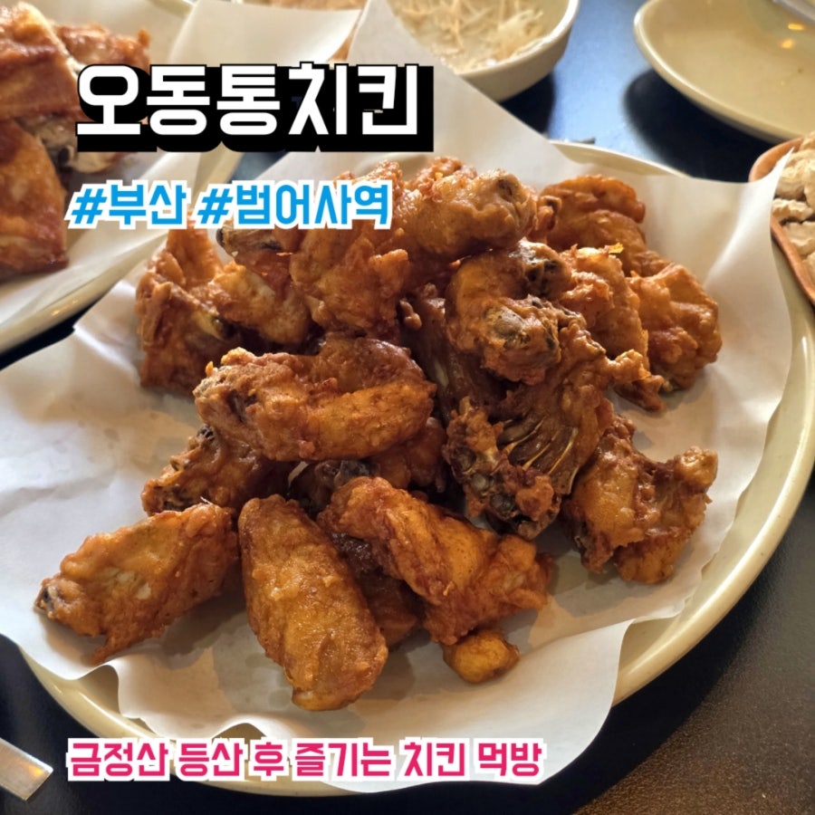 오동통치킨호프피자 청룡동직영점 사진 1