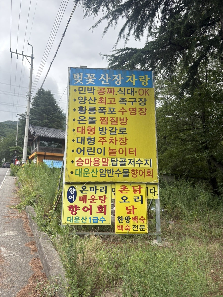 벚꽃산장 사진 1