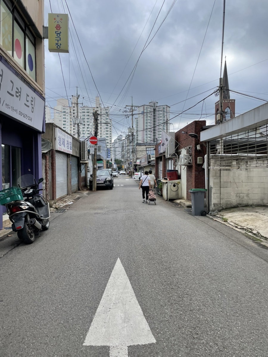 토리냥 사진 6
