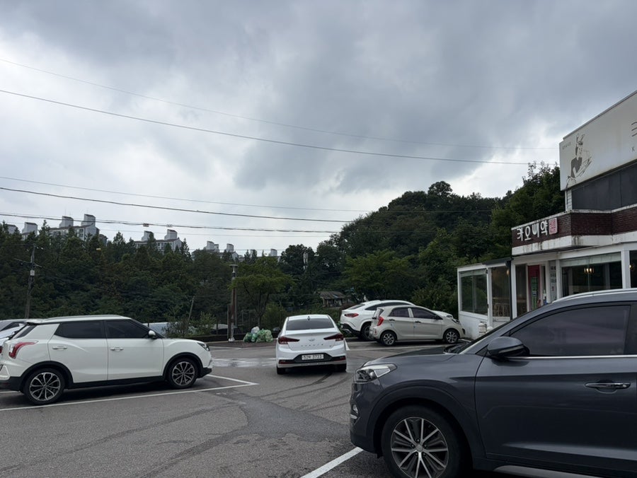 키키펫 사진 1