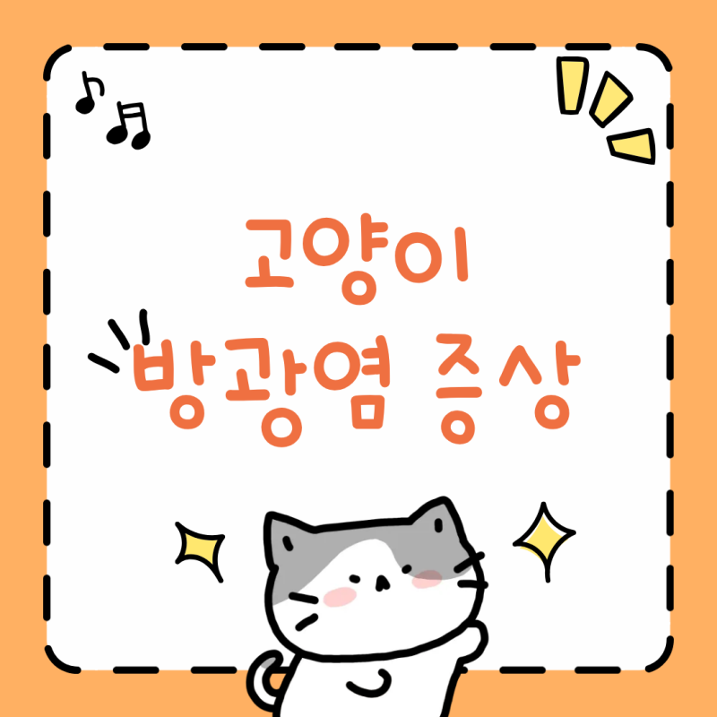 고양이 방광염 증상, 평소와 다른 '이 행동' 절대 넘기지 마세요!