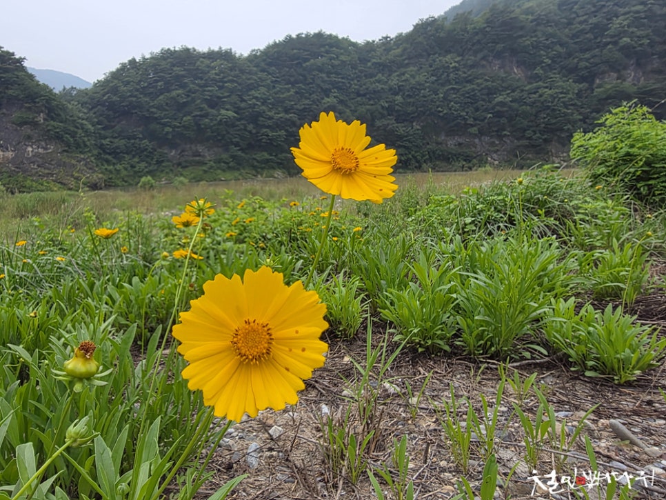 둥글바위 사진 6