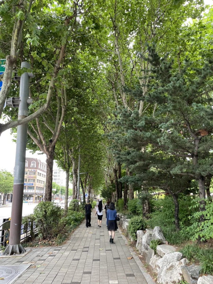 토리냥 사진 3