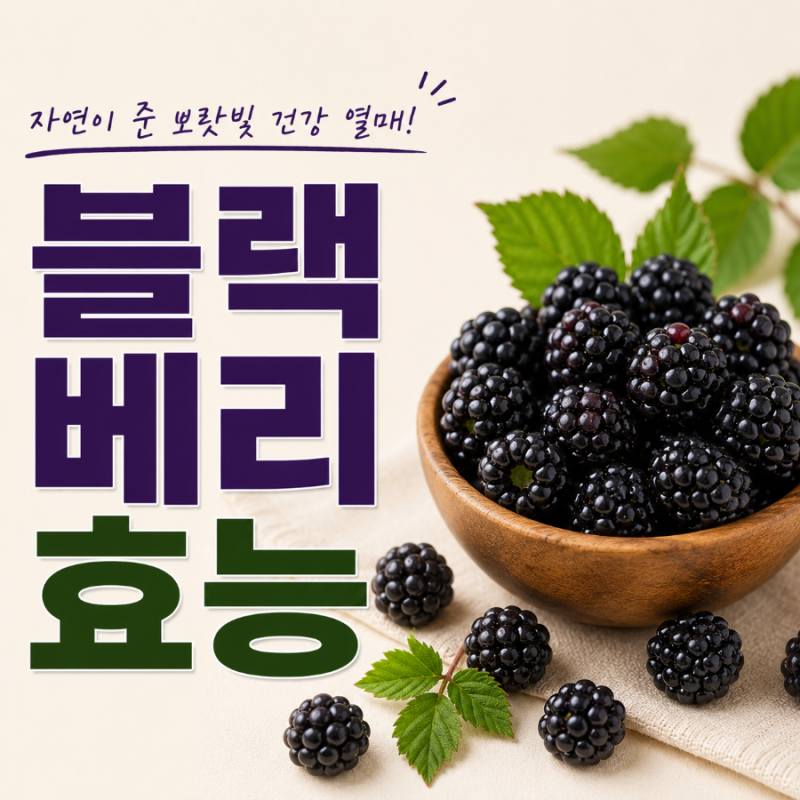 블랙베리 효능 및 칼로리 (영양성분, 부작용, 고지혈증에 특히 좋은 음식)