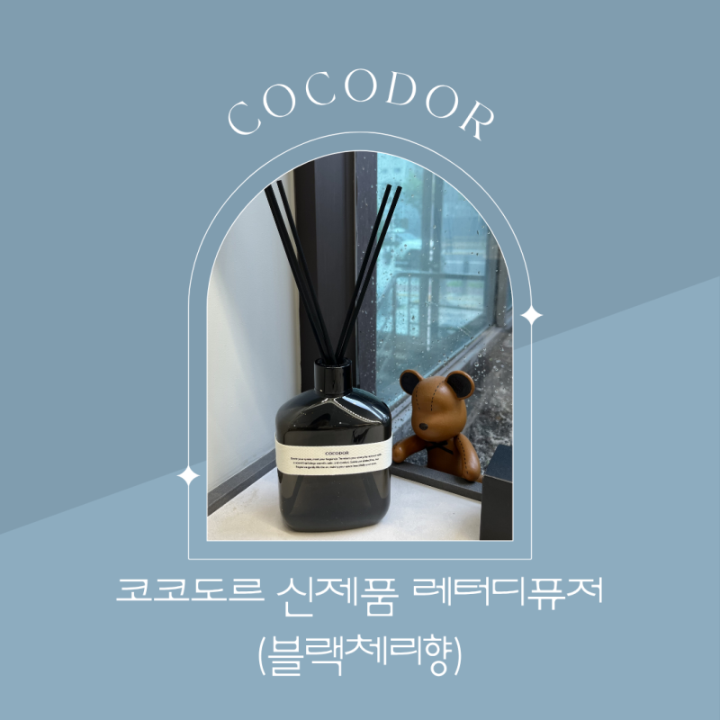 코코도르 신제품 레터디퓨저 솔직후기! 여름에 딱 어울리는 감성 인테리어 디퓨저추천 (feat. ....