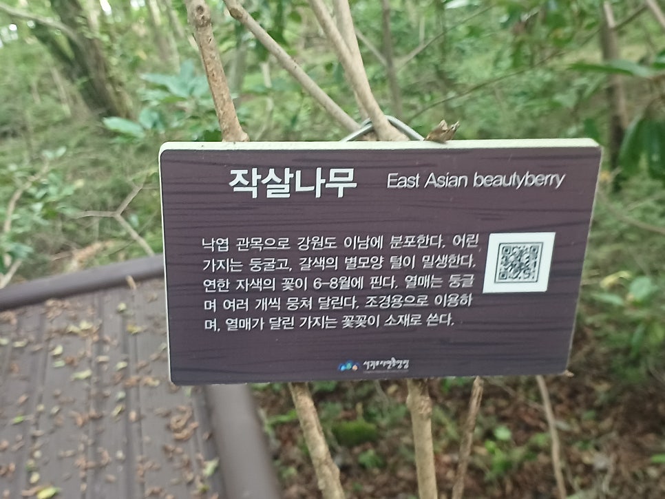 법정악 사진 4