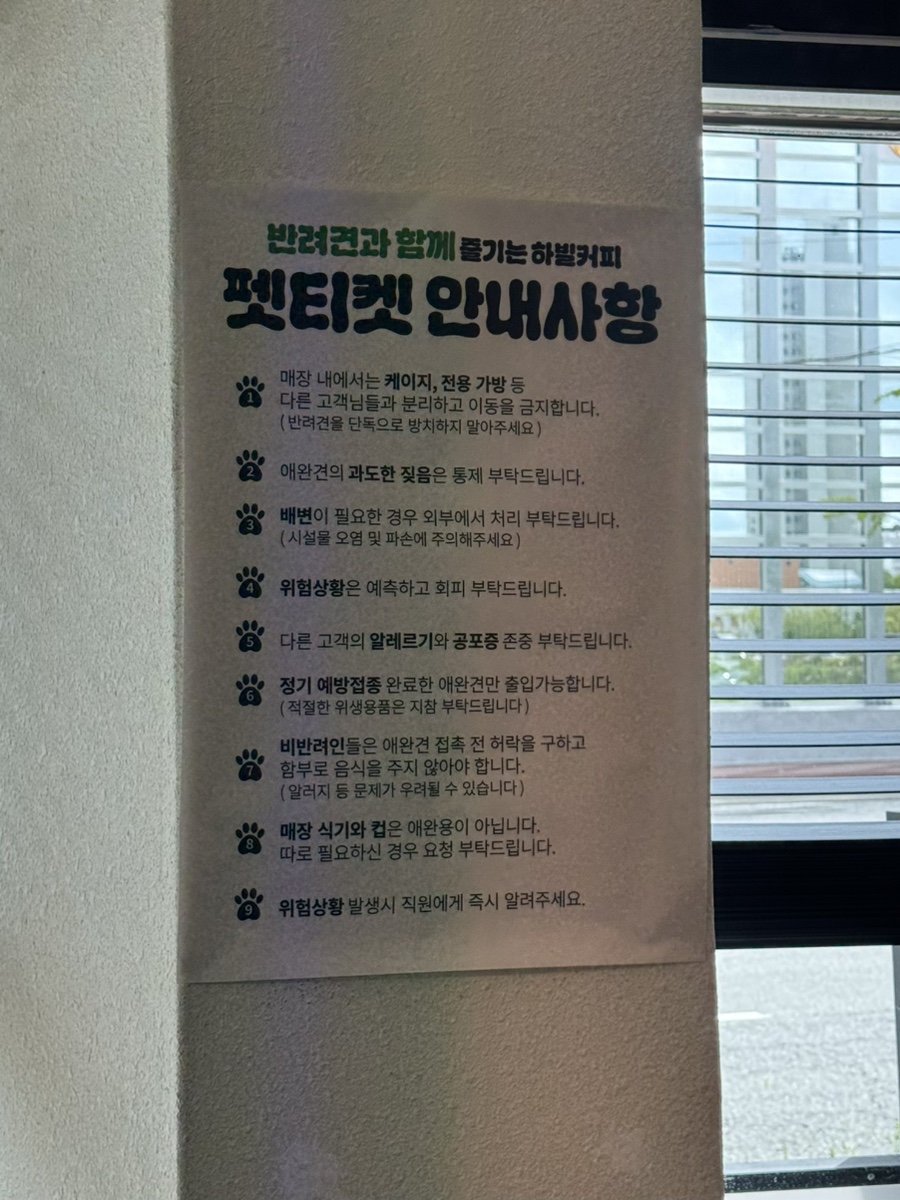 카페 양 말 사진 5