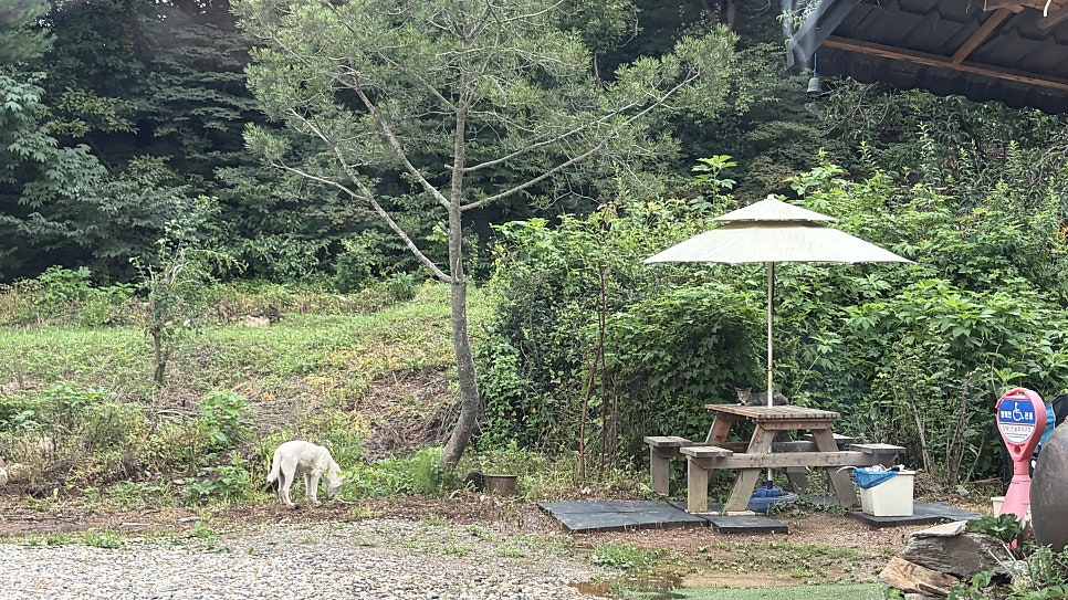 소쇄원간장게장 김포본점 사진 5