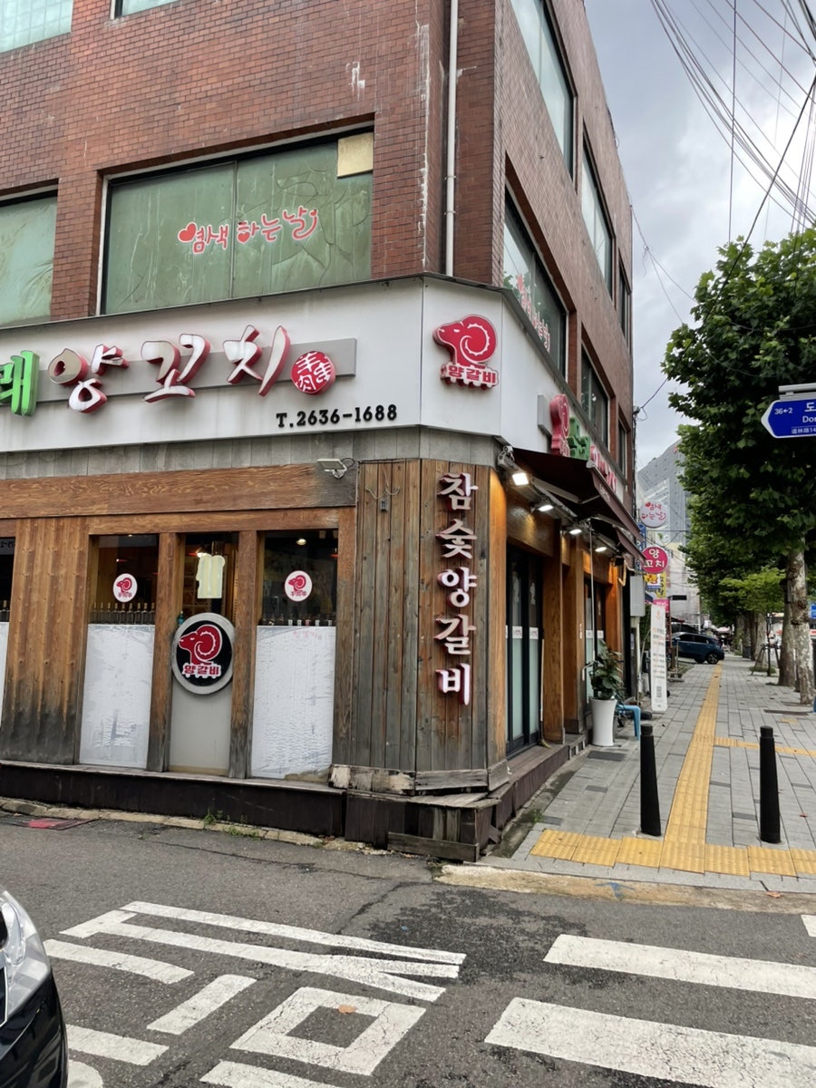 토리냥 사진 5