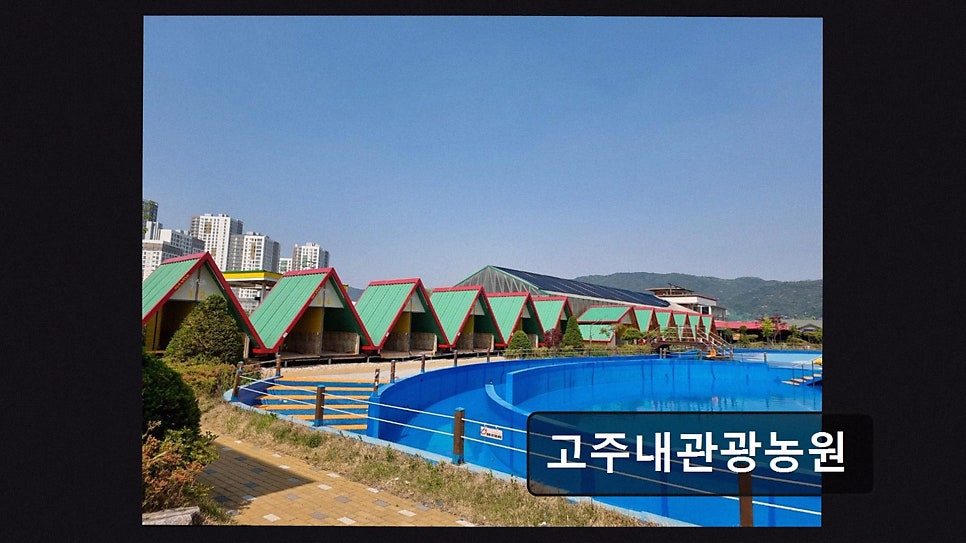팜 사진 2