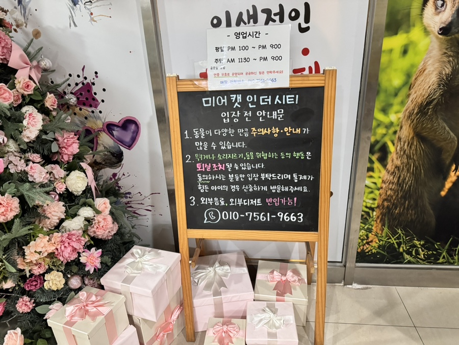 미어캣인더시티 사진 2