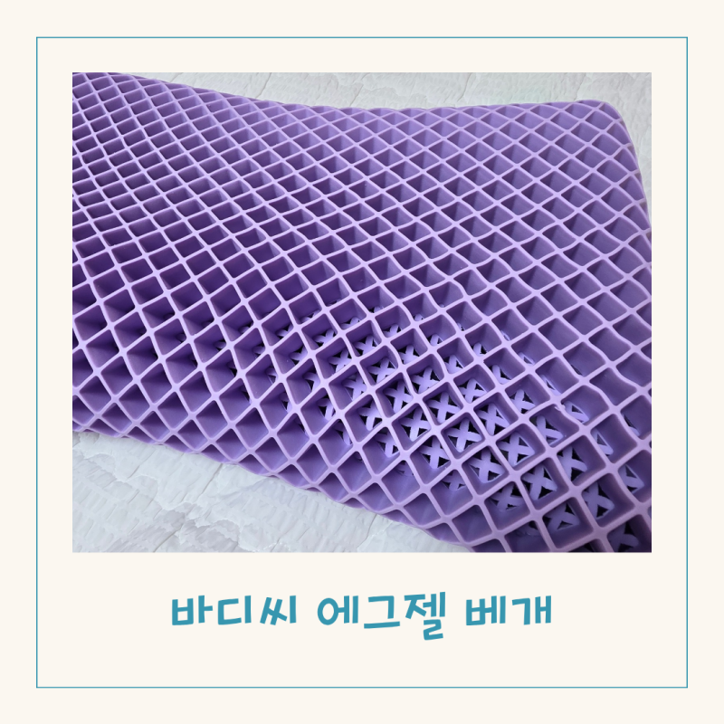 목이편한 바디씨 에그젤 여름 시원한 경추베개 내돈내산 일주일 사용 후기