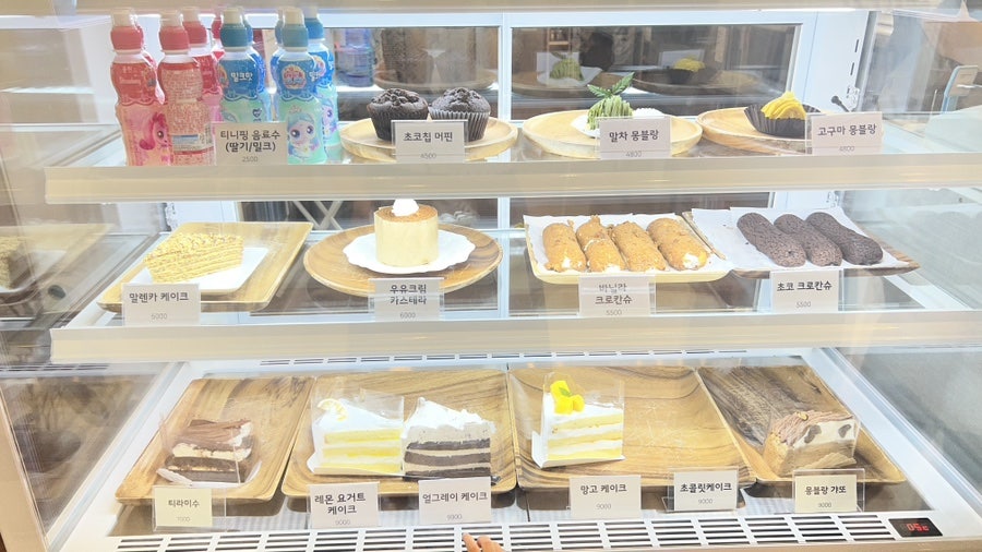 피네 사진 6