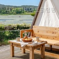 비비아트글램핑 사진 3