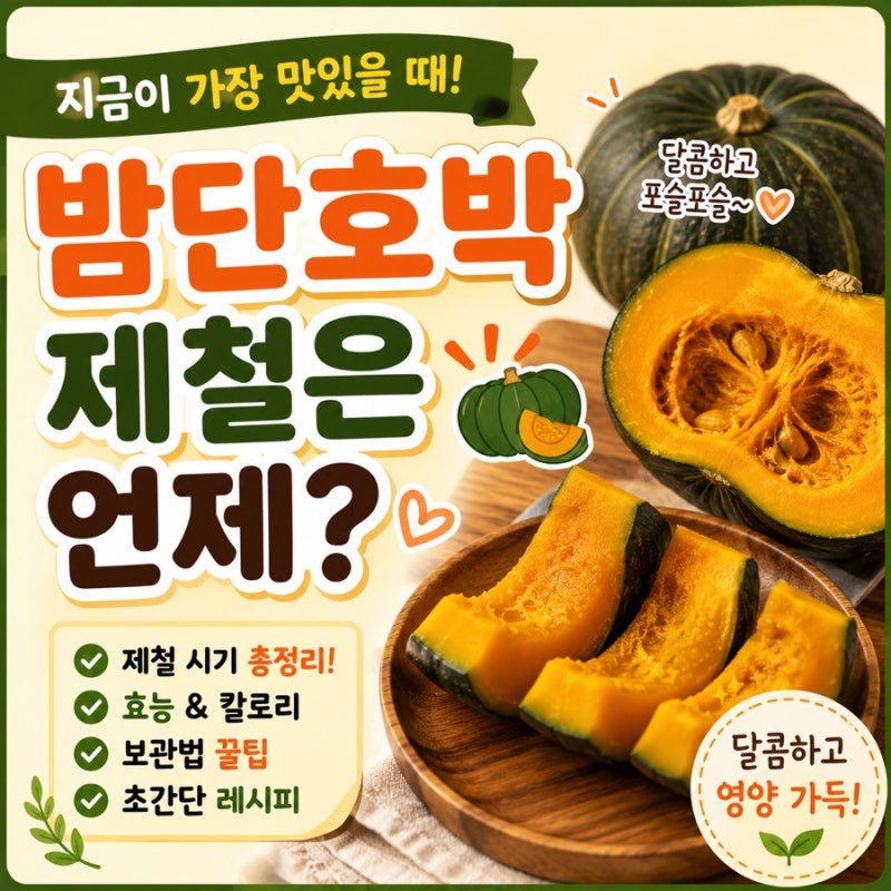 제철 밤단호박, 왜 이렇게 인기일까요? 효능부터 칼로리·보관법까지 한 번에!