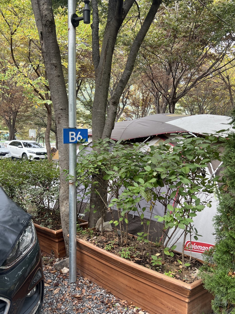 배너미오토캠핑장 사진 4