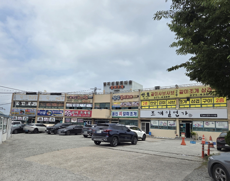 갈미조개 사진 2